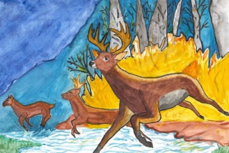 Сохраним лес от пожара