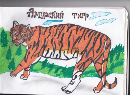 Красная книга рисунок