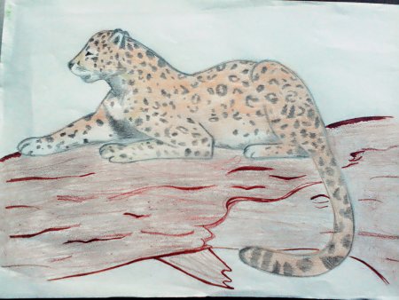 Рисунки животных из красной книги