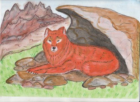 Животные из красной книги