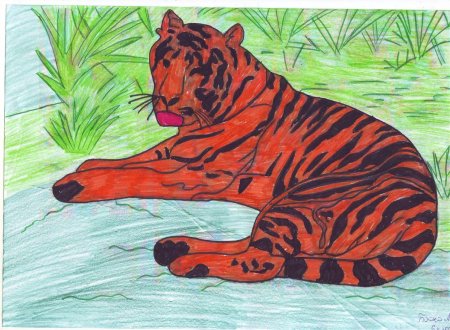 Рисунки животных из красной книги