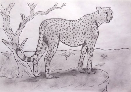 Краснокнижные животные рисунок