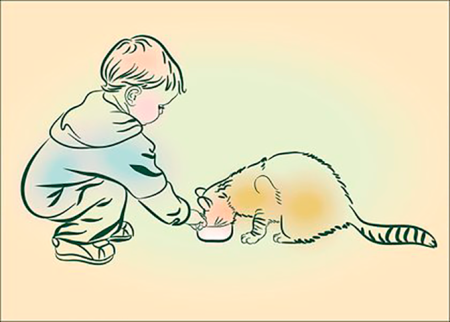 Девочка кормит кота
