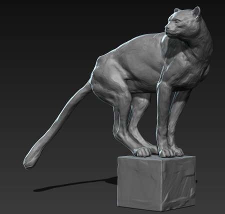 Анатомия Льва для скульптора