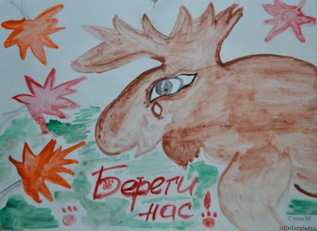 Поделка защита животных