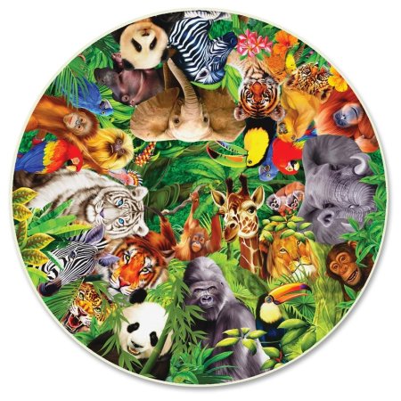 Множество животных