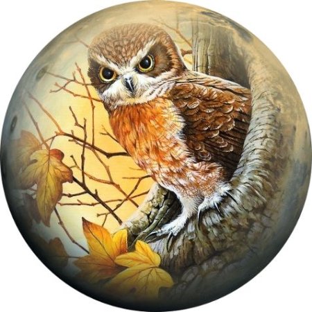 Живопись на круглом Совы