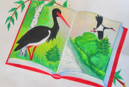Красная книга Тверской области глазами детей
