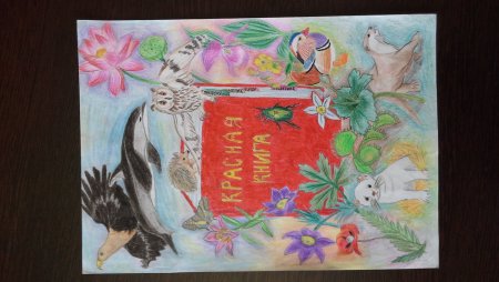 Красная книга глазами детей