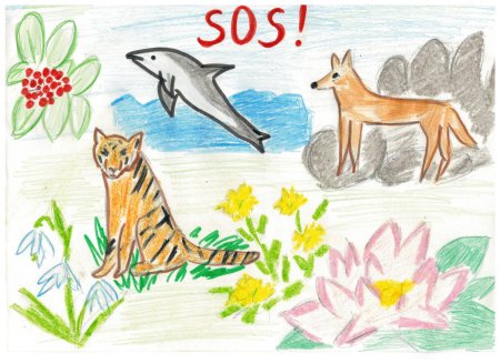 Охраняем животных и растения