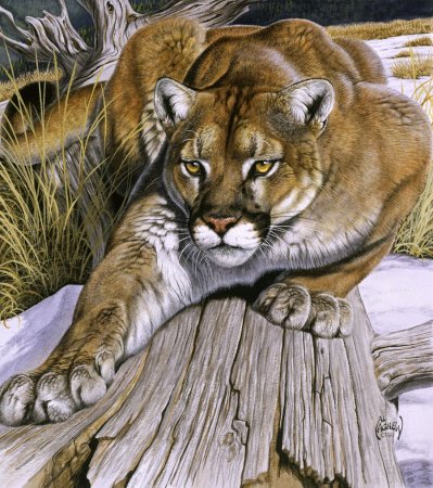 Ал.Агнев художник-анималист