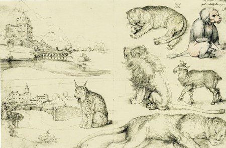 Альбрехт Дюрер анималистика