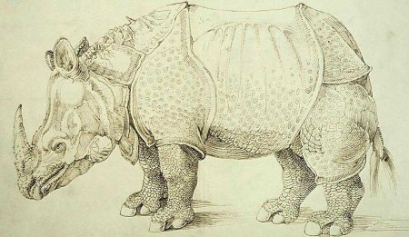 Альбрехт Дюрер носорог
