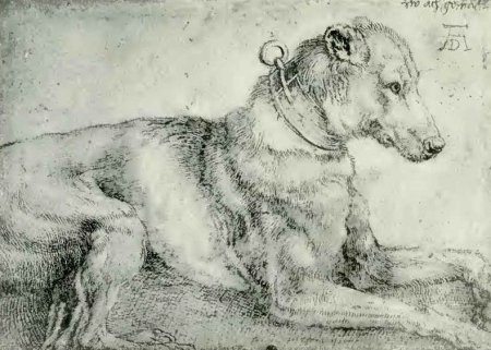 Альбрехт Дюрер анималистика