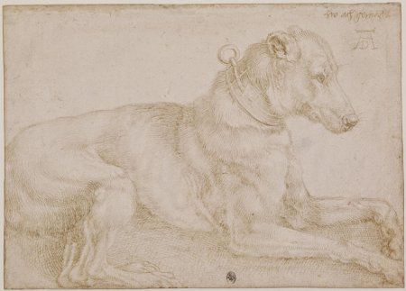 Альбрехт Дюрер шнауцер