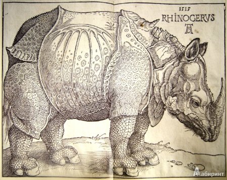 Дюрер Альбрехт Графика