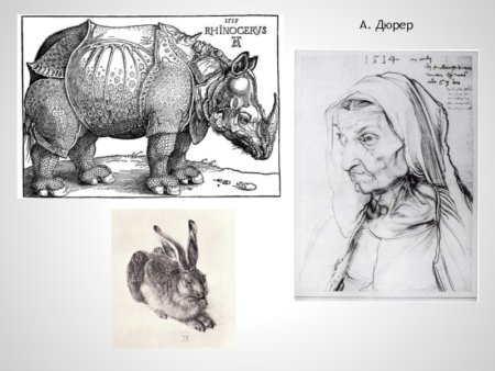 Альбрехт Дюрер Бегемот