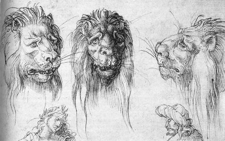 Альбрехт Дюрер Лев