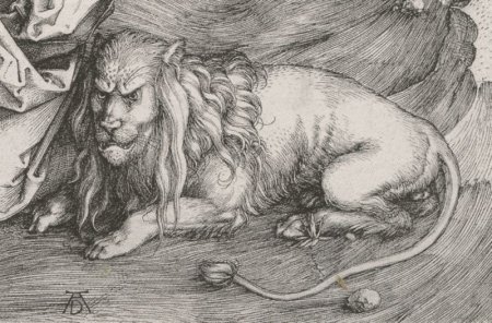 Альбрехт Дюрер Лев
