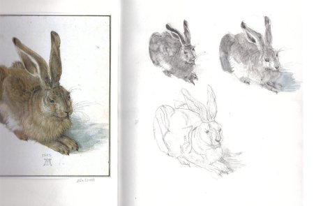 Альбрехт Дюрер кролик