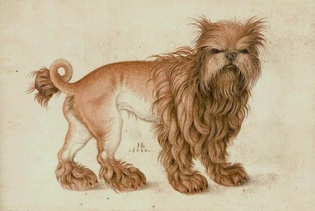 Аффенпинчер Дюрер