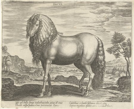 Альбрехт Дюрер лошади гравюра