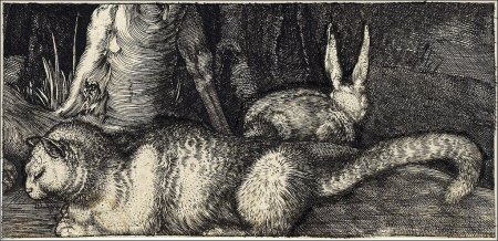 Гравюры Альбрехт адам