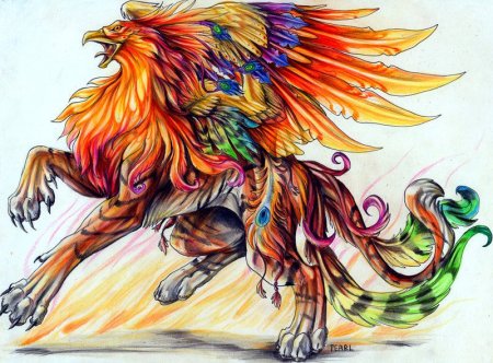 Гриффон тигр