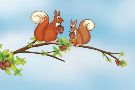 Белка на дереве мультяшная
