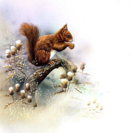 Картины художника Jan Weenink