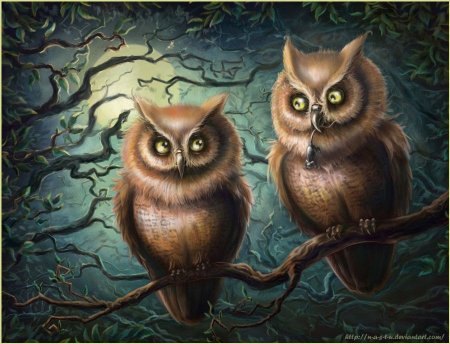 Сказочные Совушки
