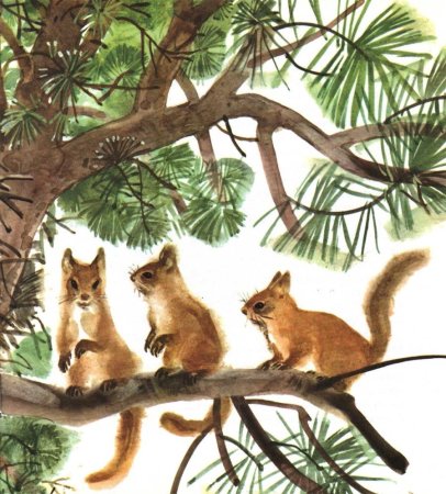 Собрание зверей в лесу