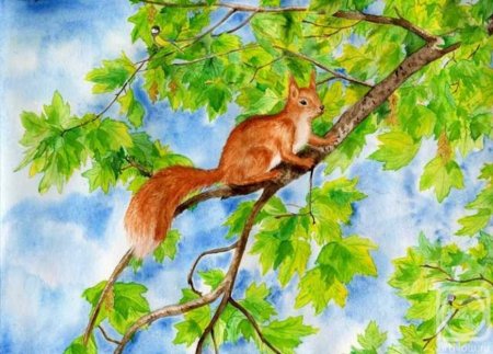 Белочка на веточке рисунок