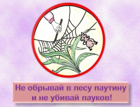 Знак защиты животных