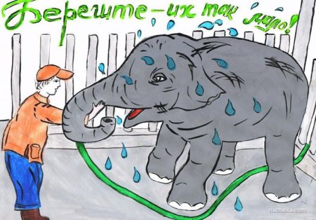 Рисунок на тему берегите животных