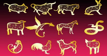 Символы года