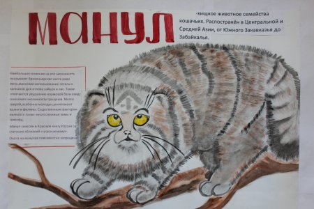 Рисунки животных из красной книги России