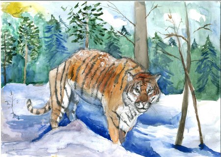 Рисунок Амурского тигра