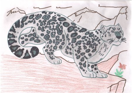 Рисунки из животных