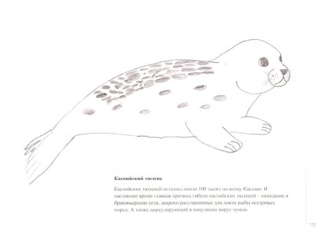 Каспийский тюлень красная книга