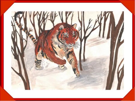Рисунок Амурского тигра