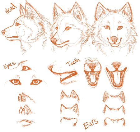 Волчьи уши референс