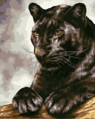 Алмазная мозаика Риолис пантера