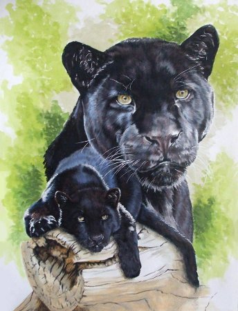 Пантера эскиз