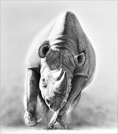 Тату носорог эскизы