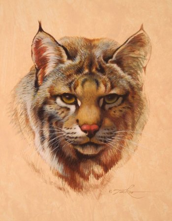 Картины животных