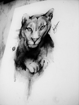 Львица эскиз