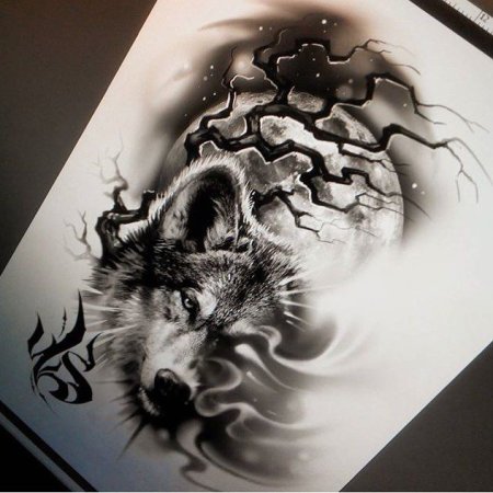 Волк эскиз реализм