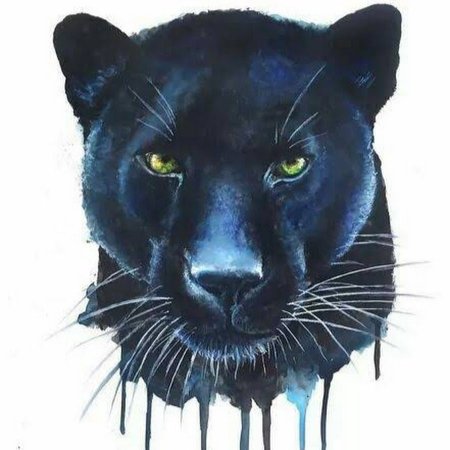 Голова пантеры