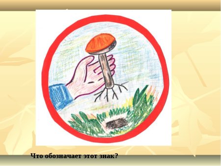 Экологические знаки про грибы